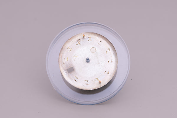 Load image into Gallery viewer, Rolex Datejust Silver Tropical Door Stop marker dial for model 1601 FCD21058
