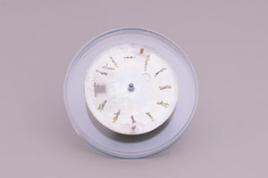 Rolex NQ Datejust Spotted Silver Stick Dial for 1601 - 1600 FCD22174