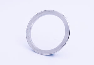Rolex Stainless Steel Daytona Bezel for model 116520 FCD22204