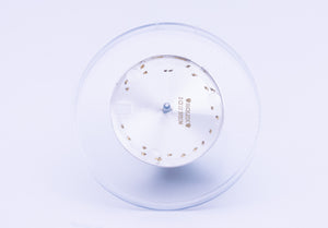 Rolex Midsize Rhodium Bold Roman Dial for 178274 FCD22406