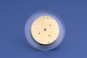 Rolex Daytona Black Lumi Dial for model 116520 FCD23662