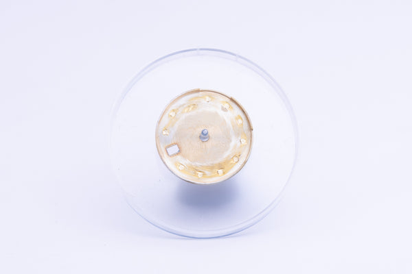 Load image into Gallery viewer, Rolex Champagne Diamond Dial ( Tropical Fade ) for 69173 FCD24427
