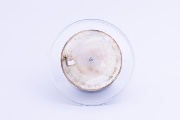 Load image into Gallery viewer, Rolex Datejust Silver Stick marker dial for model 16013 FCD24507
