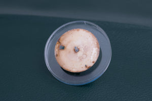 Rolex Silver Stick Date dial for model 15013 - 15233 FCD25006