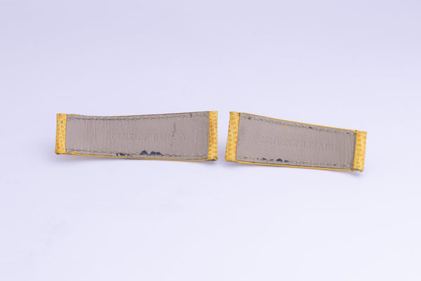 Load image into Gallery viewer, Rolex Daytona Beach Yellow Strap model 116519 FCD25081
