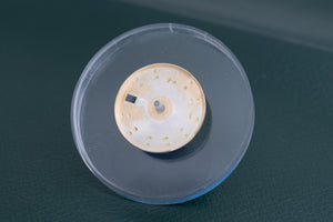 Rolex Ladies Datejust Champagne Index dial for model 179173 FCD26536