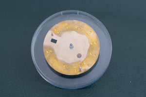 Rolex Datejust White Stick Marker Dial with Hands for 16013 - 16233 FCD26684