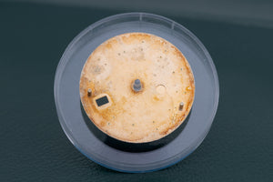 Rolex Champagne Tropical faded Stick marker Dial for model 16013 FCD26779