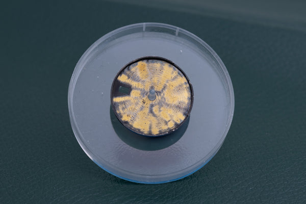 Load image into Gallery viewer, Rolex Ladies Black index dial for model 6916 - 6917 FCD27167
