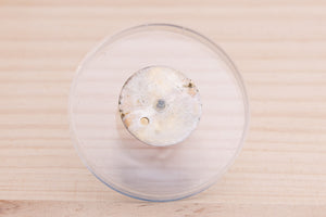 Rolex Oyster Perpetual Champagne Zephyr Dial for model 6621 W Hands FCD27608