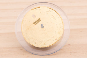 Rolex Datejust 41 Champagne Stick Dial for 126333 FCD29062