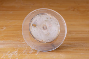 Rolex Silver stick marker dial for model 1601 - 1603 FCD29428