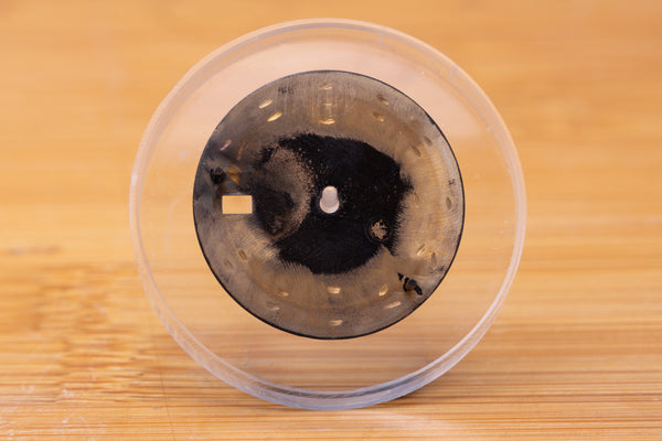Load image into Gallery viewer, Rolex Submariner DAMAGED Black Dial for 16610 - 16800 - 168000 FCD29509
