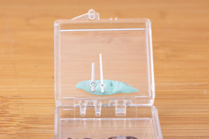 Rolex White Gold No Lume 1570 Hand set FCD29654