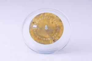 Rolex Yachtmaster "Swiss T < 25 " White Dial for Model 16623 - 16628 FCD29732