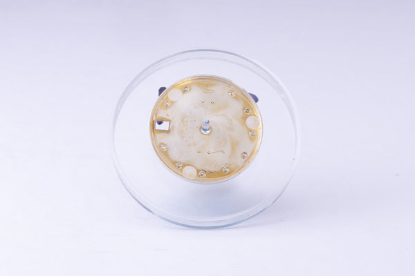 Load image into Gallery viewer, Rolex Midsize Silver Jubilee Diamond dial for 68273 - 78273 FCD29751
