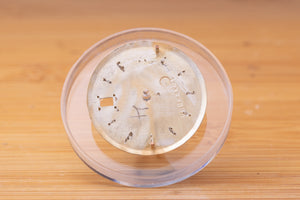 Rolex Datejust Champagne Stick Claw Marker dial for 1601 FCD29926
