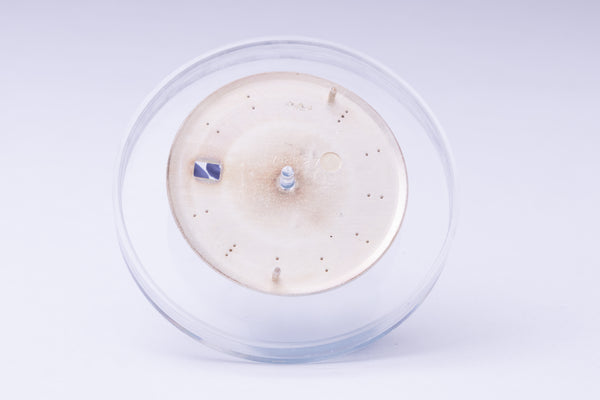 Load image into Gallery viewer, Rolex Silver stick marker dial for model 1601 - 1603 FCD29932
