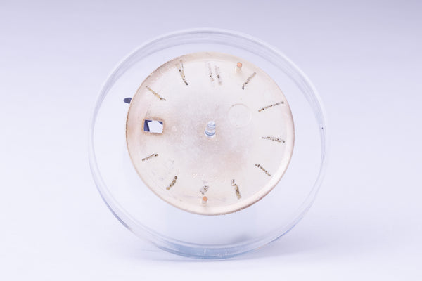 Load image into Gallery viewer, Rolex Silver stick marker dial for model 1601 - 1603 FCD29934
