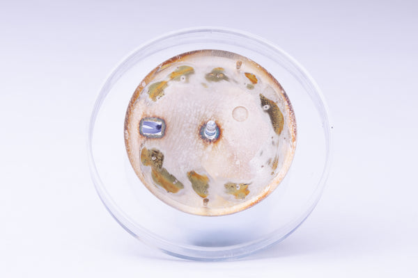 Load image into Gallery viewer, Rolex Silver stick marker dial for model 1601 - 1603 FCD29956
