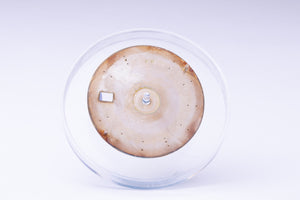 Rolex Silver Oyster Date Dial for model 6694 FCD29971