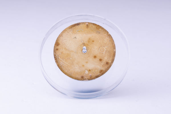 Load image into Gallery viewer, Rolex Air-King Silver Stick Marker Dial for model 5500 FCD30032
