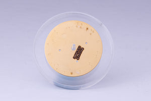 Rolex Daytona Chocolate Arabic Dial for 116505 - 116515 W Hands FCD30187