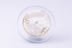 Rolex Datejust Silver Stick dial for model 16014 - 16030 FCD30251