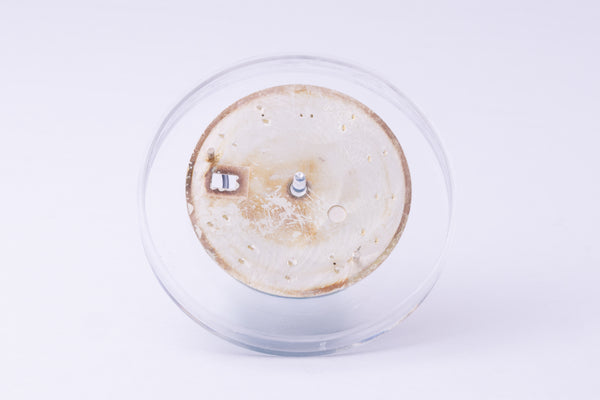 Load image into Gallery viewer, Rolex Datejust Silver Stick dial for model 16014 - 16030 FCD30254
