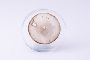 Rolex Datejust Silver Stick dial for model 16014 - 16030 FCD30264
