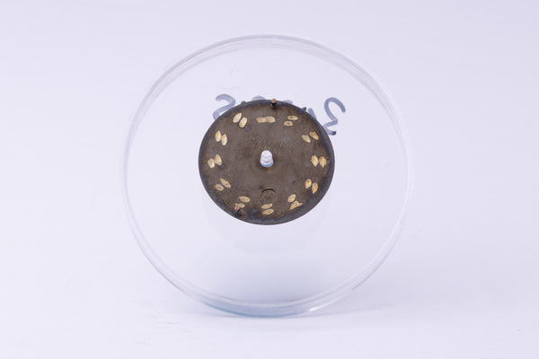 Load image into Gallery viewer, Rolex Oyster Perpetual slate dial for model 6719 FCD30285
