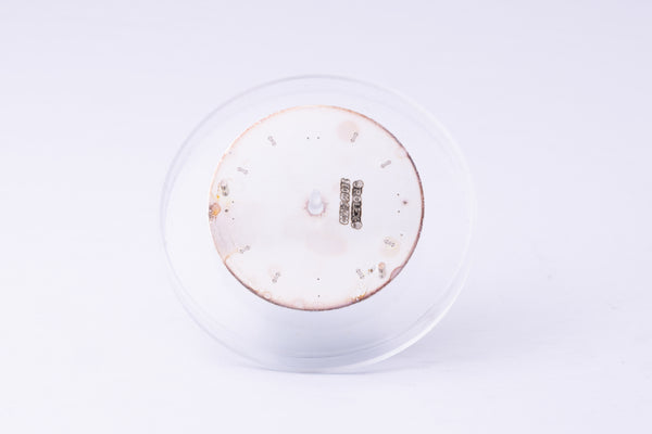 Load image into Gallery viewer, Rolex Airking 34mm Silver Dial Pink Sticks for 114200 FCD30314
