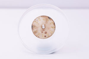Rolex Oyster Perpetual silver dial for model 76180 FCD30323