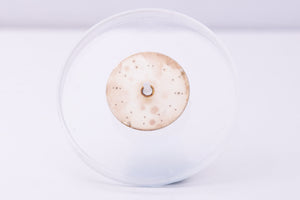 Rolex Oyster Perpetual silver dial for model 76180 FCD30324