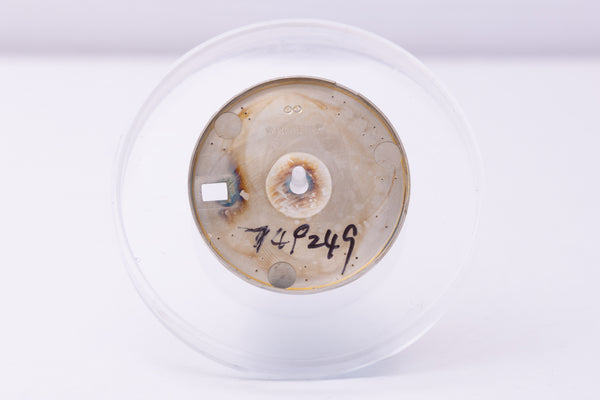 Load image into Gallery viewer, Rolex Midsize Ivory Jubilee Arabic dial for model 68273 FCD30347
