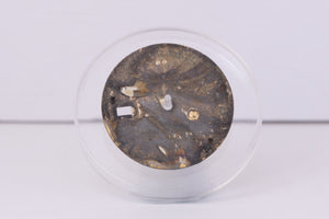 Rolex Mens Datejust Polar Stick dial for model 16013 FCD30363