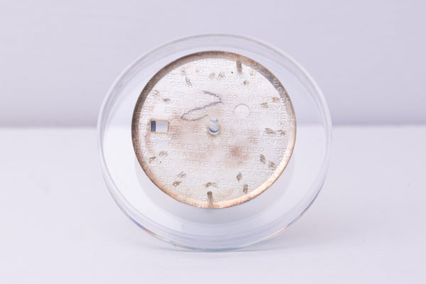 Load image into Gallery viewer, Rolex Datejust spotted / discolored dial for model 1601 FCD30379
