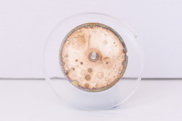 Load image into Gallery viewer, Rolex Air-King Silver Stick dial for model 5500 FCD30404
