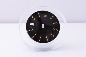 Rolex Datejust Black Stick Dial for 16200 - 16234 FCD30414