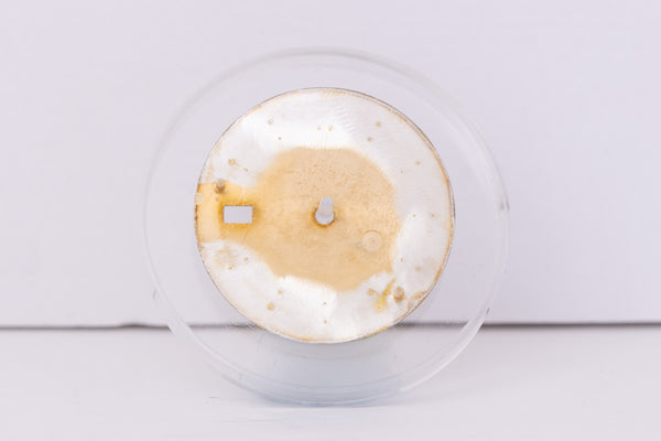 Load image into Gallery viewer, Rolex Datejust Champagne Stick marker dial for model 16233 FCD30448

