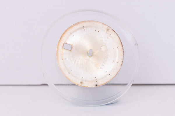 Load image into Gallery viewer, Rolex Date Silver stick dial for model 1500 - 1501 FCD30451
