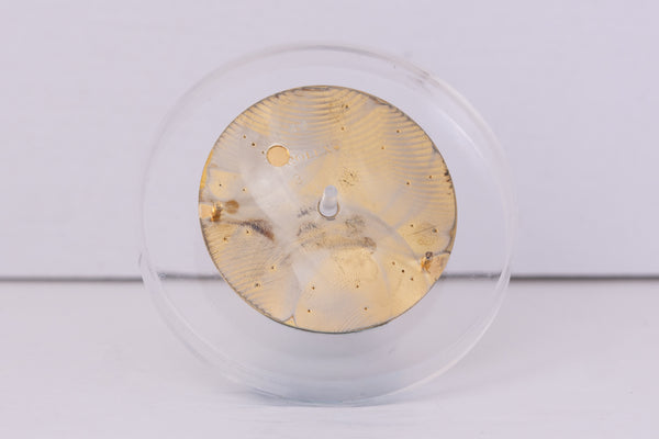 Load image into Gallery viewer, Rolex Oyster Perpetual Champagne Stick dial for 14233 FCD30466
