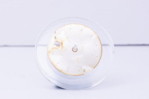 Load image into Gallery viewer, Rolex Yachtmaster "Swiss Made" White Dial for Model 16623 - 16628 FCD30599
