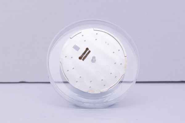 Load image into Gallery viewer, Rolex Silver Index marker Dial for model 126234 - 126200 FCD30615
