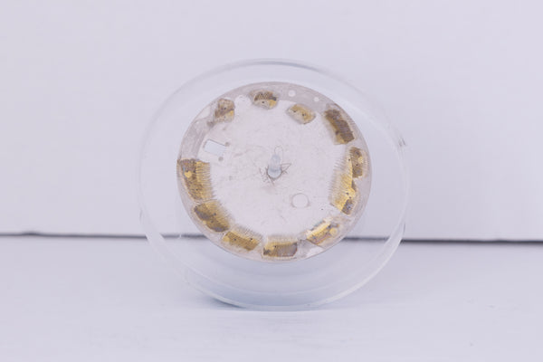 Load image into Gallery viewer, Rolex Mens Rhodium Roman Dial ( spotted )for moel 16234 - 116234 FCD30660

