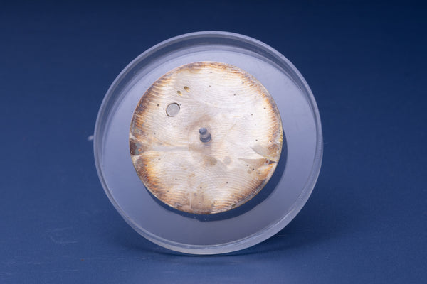 Load image into Gallery viewer, Rolex Faded Silver Stick Airking dial for model 14000 - 14000M FCD30952
