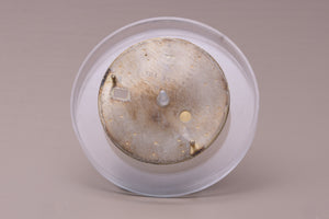 Rolex Datejust Champagne Stick marker dial for model 16233 FCD31020