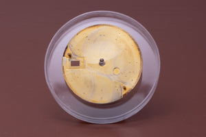 Rolex Datejust Champagne linen Stick marker dial for model 16013 FCD31021