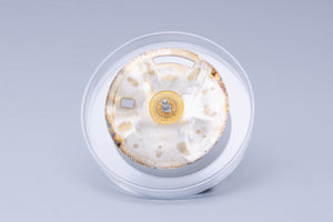 Rolex Day-Date DAMAGED Champagne Stick Dial for 18038 - 18238 FCD31052