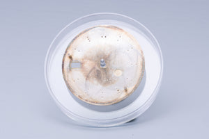 Rolex Datejust Silver Stick dial for model 16014 - 16030 FCD31058